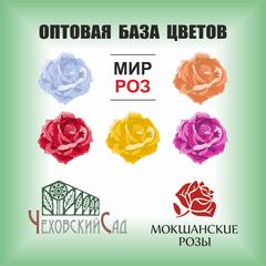 Мир роз каталог. Мир роз Тольятти. Фирма с логотипом розы. База цветов логотип.